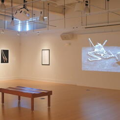 a still documentation of Cranes in Motion