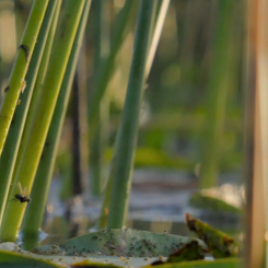 a still frame from Summer Home