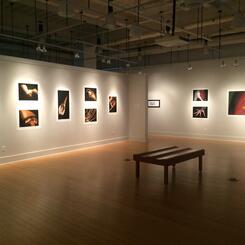 Cranes in Motion - Solo Exhibition at VisArts Rockville, MD