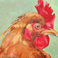 Portrait of a Rooster