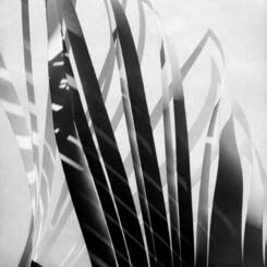 Light Modulator #100