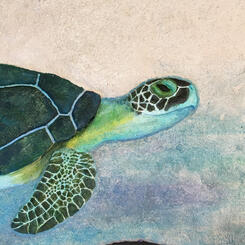 Sea Turtle detail