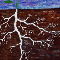Roots of Creation