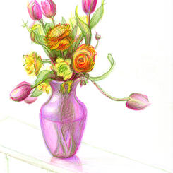 Ranunculus with Tulips 