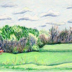 Hannah More Park 4-5-2020