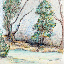 Hunt Valley 2-17-2020