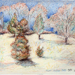 Hunt Valley MD 2-21-2020