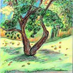 Oregon Ridge Park 2020