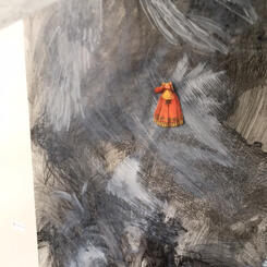 detail, hidden beneath - Evidence