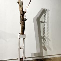 “Man is a part of nature, and this war against nature is inevitably a war against himself”- Rachel Carson