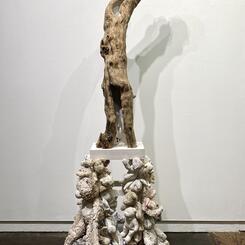 “In a time of such destruction, our lives depend on this listening. It may be that the earth speaks its symptoms to us.” Linda Hogan