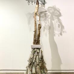 “…it’s as though these trees are sharing their deepest secrets. These connections are crucial to our well being” —Suzanne Simard