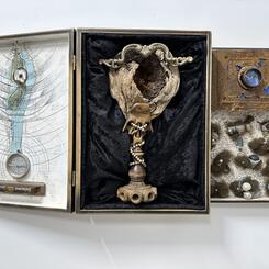 Barred Owl Reliquary