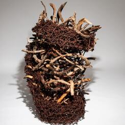 Journey, pine wood, willow 2023