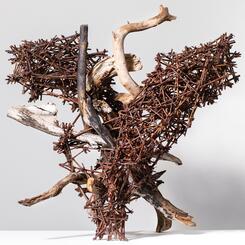 Verge, pine wood, willow 2021