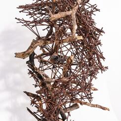 Crest, pine wood, willow 2020