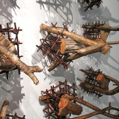 Disturbance (detail)