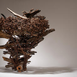 Regeneration (detail)