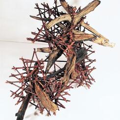 Spark, pine wood, willow 2019