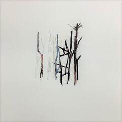 Paper Forest Series #1