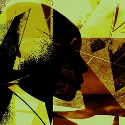 1 The Draftswoman's Vision.jpg