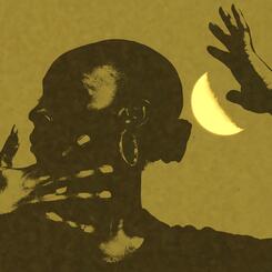 Flight by Half Moon.jpg