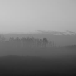 Fog Tonal Study #1.JPG