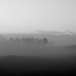 FogTonal Study #2.JPG