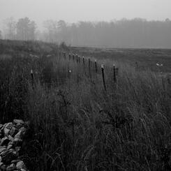 Rocks in a Gully on the Plains.jpg