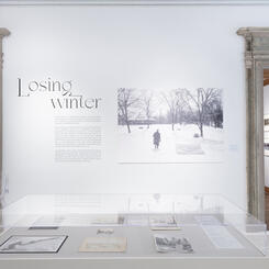 Losing Winter