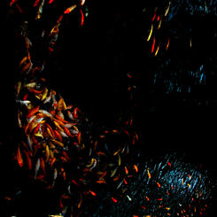 9 one of nine circles.jpg