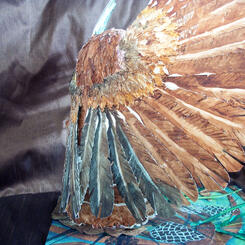 Saw-whet Owl (detail)