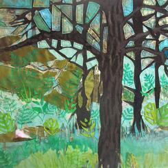 Black Oak Savanna Forest