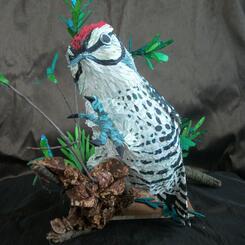 Red-bellied Woodpecker 