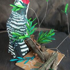 Red-bellied Woodpecker (detail) 