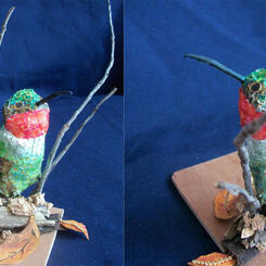 Male Ruby-throated Hummingbird 