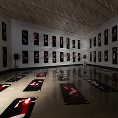 Afterimage Requiem: SECCA 2019