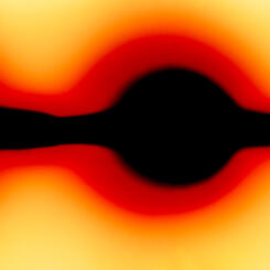 Sungazing Scroll (Section)