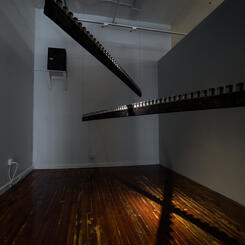 Ash Lexicon-Silverplate (installation view)