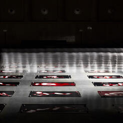 Afterimage Requiem installation view