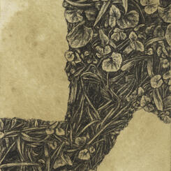 Flora: Amherst, VA #1