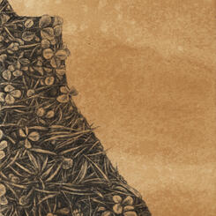 Flora: Amherst, VA #2