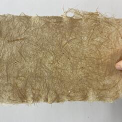 Handmade Hibiscus syriacus paper