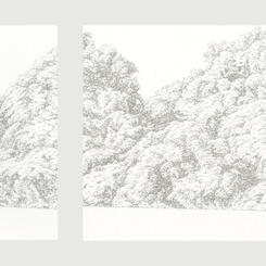 Invasive #11, 23, 22, & 37