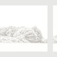 Invasive #16, 24, 47, 49, & 48