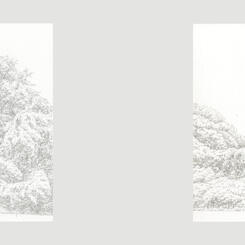 Invasive #21, 34, 31, & 32