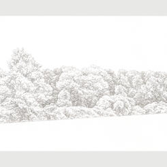 Invasive #26, 13, 12, 18, & 19