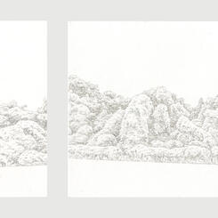 Invasive #36, 39, 33, & 30