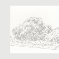 Invasive #43, 46, 38, 35, & 14