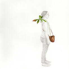 Portable Plant Study #1 (Persea americana)